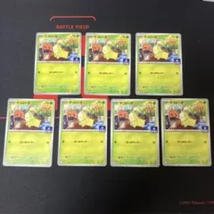 ポケモンカード チコリータ プロモ 222/XY-P スペシャルセット 9192