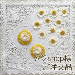 A♡shop様オーダーページ【押しフルーツ】【押し花】【押し野菜】