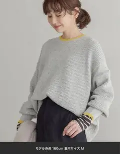 【WEB限定】AMERICAN HOLIC配色ラインニットプルオーバー美品