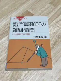 算数100の難問・奇問　講談社　ブルーバックス