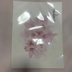 滝沢歌舞伎　ZERO FINAL パンフレット