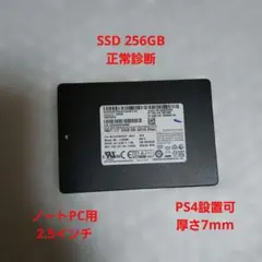 SAMSUNG 256GB 2.5インチSSD 正常診断