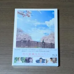 イ・ジュンギ 麗 花萠ゆる8人の皇子たち 公式 OST DVD付き 完売品
