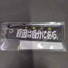 EBiDANミュージアム　フライトタグ　原因は自分にある。