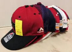 Item thumbnail for item 64e5ee63-5fea-48c4-a1b6-62f596e47760