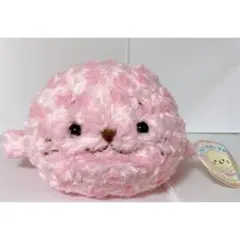 しろたん 花束に変身 ぬいぐるみ