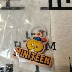 MINITEEN ミニティーン めじるしアクセサリー スングァン