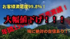 熊本県産みかん『 不知火(デコポン)』箱込み4.9kg サイズ MIXのサムネイル