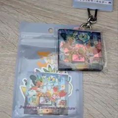 ポケモン アクリルキーホルダー ステッカー Timeless Adventure