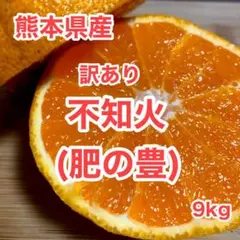 訳あり 熊本県産 不知火(肥の豊) 9kg