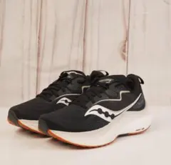 新品未使用品 saucony TEMPUS 2　23cmのサムネイル