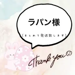 ラパン様【専用ページ】