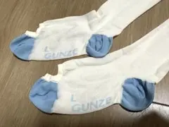 GUNZE 弾圧ソックス　レッグサイエンス　Lサイズ