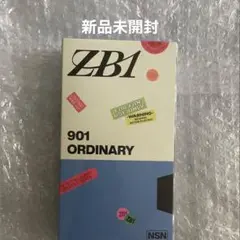【新品未開封】 ZB1 正規1集 アルバム ORDINARY ver.