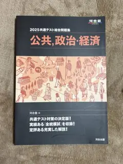 2025共通テスト総合問題集 公共,政治,経済