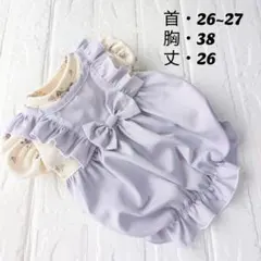 犬服ハンドメイド・重ね着風バルーンワンピ・パフスリーブ