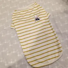 ❤犬服　ＸＬサイズ イエローボーダー半袖　Ｔシャツ クマさん刺繍