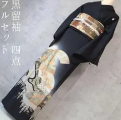夏着物 絽紗 色無地 小紋 フルセット 黒地 花柄 漆黒の夕涼み 盛夏 O2 