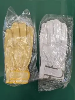 Item thumbnail for item fc65e913-e194-4da7-9a75-d8ee0158a135