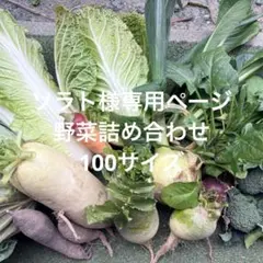ソラト様専用ページ　野菜詰め合わせ100サイズ