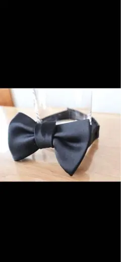 2025年最新】トリートドレッシング蝶ネクタイの人気アイテム