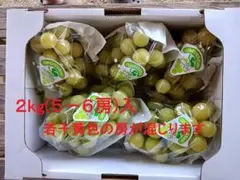 レ*】様 徳島産 シャインマスカット訳あり約5キロ(箱込) - メルカリ
