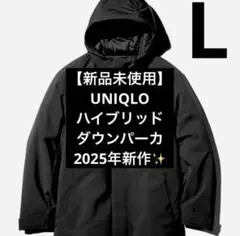 Item thumbnail for item ee657584-87a4-4ff8-b8d2-0f5357b8cad3