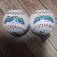 DREAMS 東京 硬式野球ボール自筆サイン2個