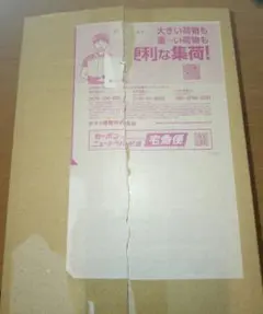 ポケセン産 megaドリームex シュリンク付き 納品書付き