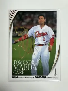 Item thumbnail for item 5609a7f1-30a6-4c87-804a-9105e91f3a88