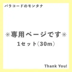 HIMONO様 1セット専用ページです(2ページあります)