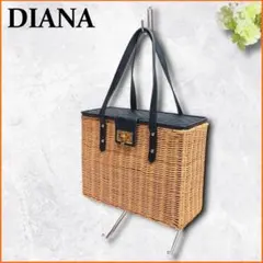 お洒落✨　DIANA　ダイアナ　ハンドバッグ　カゴ　籠　ターンロック　黒
