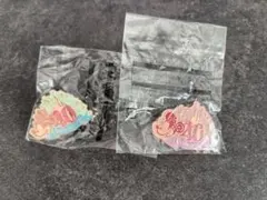 ディズニー40周年　ピンバッジ2個セット