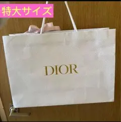 Dior ショップ袋ショッパー特大 1枚のサムネイル