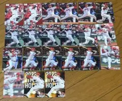 Item thumbnail for item 1750cb77-285c-4e17-a902-87dcb9b68824