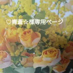 ♡青蒼☆様専用ページ♡