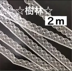 21☆人気のレース☆樹林☆2m☆