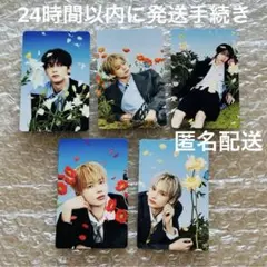 TXT セツナハナビ ソロジャケット盤 花 ver. トレカ 全員 コンプ