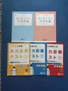まとめテスト・実力診断テストセット☆チャレンジ6年生☆進研ゼミ☆ベネッセ