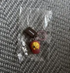 SKZOO BbokAri ソロキャンプ めじるしアクセサリー