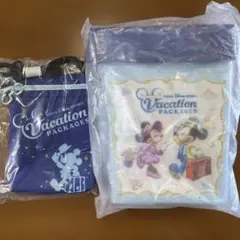 東京ディズニーリゾート バケーションパッケージ ポップコーンケース　バケパ