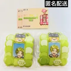 カラフルピーチ　ミニフォトケース　シヴァさん　２個セット　からぴち　Siva