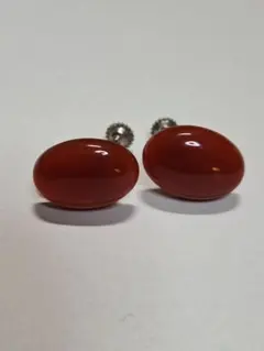 天然石 イヤリング