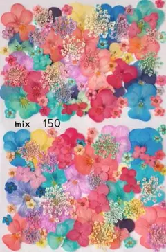 mimo♡hapi様 リクエスト 2点 まとめ商品