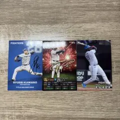 プロ野球チップス 北海道日本ハムファイターズ カード