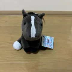 イクイノックスのサムネイル