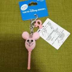 ディズニーリゾート　手持ちバルーンホルダー