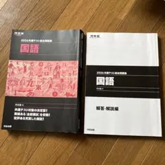 河合塾　2026共通テスト総合問題集 国語