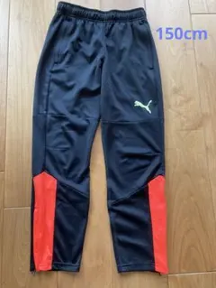 Puma トレーニングパンツ 150cm