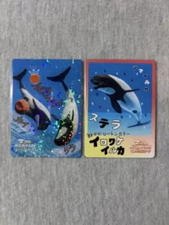 鳥羽水族館 コレクションカード VOL.2 レア イロワケイルカ カイ ララ 鳥羽水族館コレクションカード レア イロワケイルカ 含む 計3枚